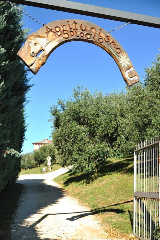 Agriturismo Spigolo Avesa Екстер'єр фото