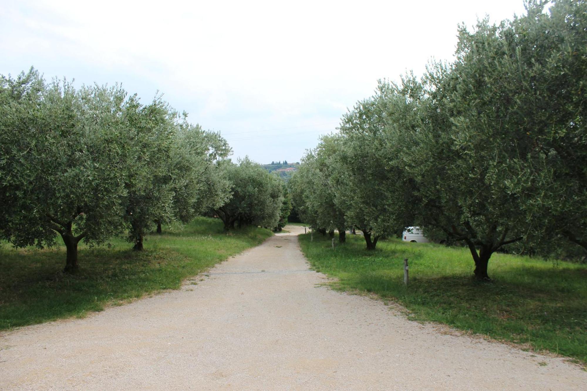 Agriturismo Spigolo Avesa Екстер'єр фото