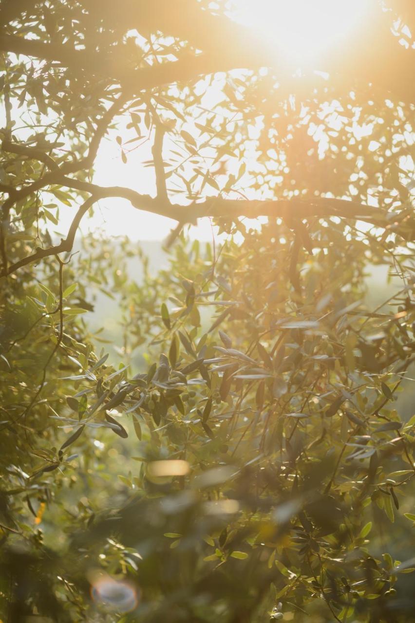Agriturismo Spigolo Avesa Екстер'єр фото